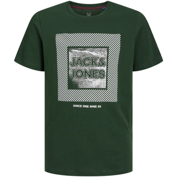 textil Niño Camisetas manga corta Jack & Jones 12237030 JJSTEIN TEE SS CREW NECK JNR MOUNTAIN VIEW Verde