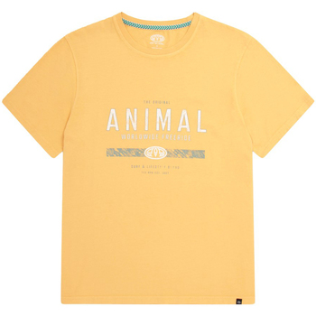 textil Hombre Camisetas manga larga Animal  Multicolor