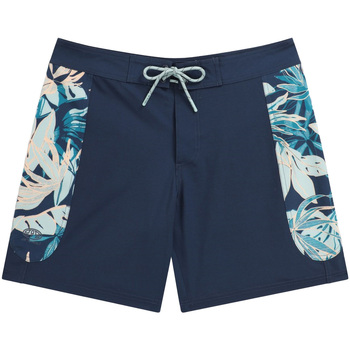 textil Mujer Shorts / Bermudas Animal Lenora Azul
