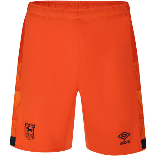 textil Hombre Shorts / Bermudas Umbro 23/24 Naranja