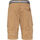 textil Hombre Shorts / Bermudas Protest PACKWOOD shorts Marrón