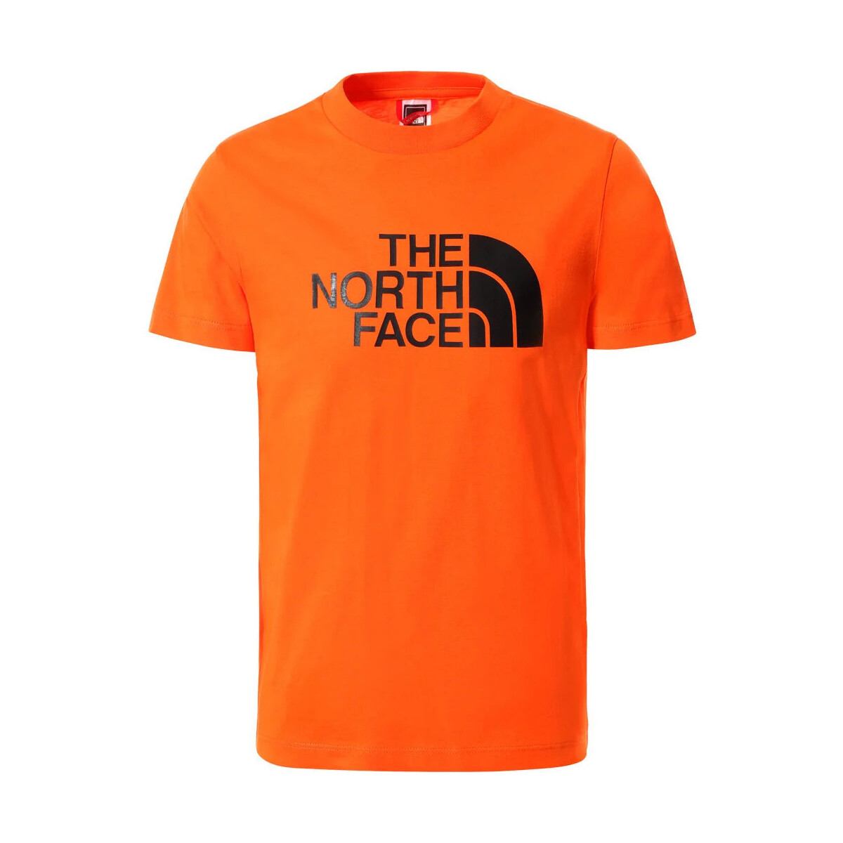 textil Niños Camisetas manga corta The North Face Y S/S EASY TEE Naranja