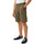 textil Hombre Shorts / Bermudas Helly Hansen HH QD CARGO SHORTS 11 Kaki