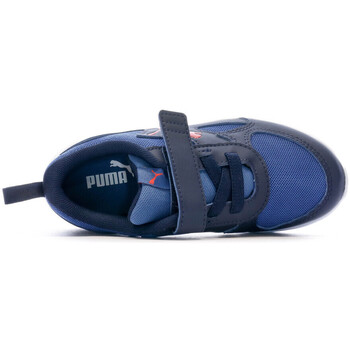 Puma  Azul