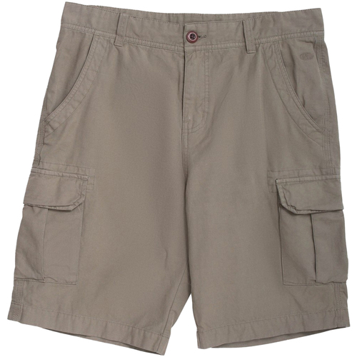 textil Hombre Shorts / Bermudas Animal MW1157 Verde