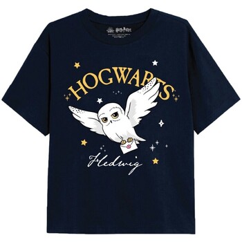 textil Niña Camisetas manga larga Harry Potter TV2200 Azul