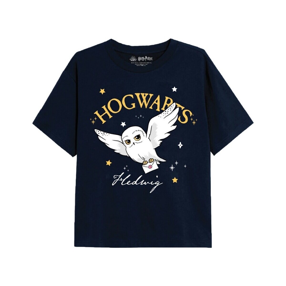 textil Niña Camisetas manga larga Harry Potter TV2200 Azul
