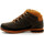 Zapatos Hombre Botas de caña baja Timberland  Verde