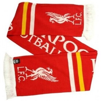 Accesorios textil Bufanda Liverpool Fc BS3640 Multicolor