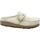 Zapatos Mujer Zuecos (Mules) Birkenstock BIR-CCC-1025232-WH Blanco