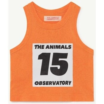 textil Niños Tops y Camisetas The Animals Observatory S22119 Naranja