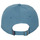 Accesorios textil Hombre Gorra Patagonia P-6 LABEL TRAD CAP Azul