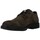 Zapatos Hombre Derbie & Richelieu IgI&CO Zapatos Gore-Tex con Cordón Hombre de  46025 Marrón