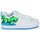 Zapatos Hombre Zapatillas bajas DC Shoes COURT GRAFFIK Blanco / Azul