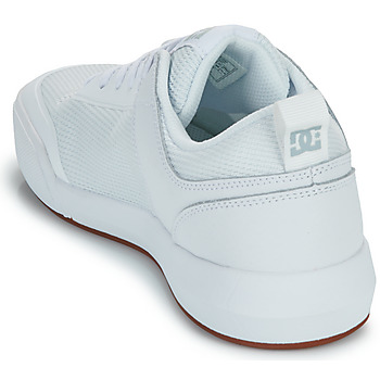 DC Shoes TRANSIT Blanco / Gum