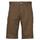 textil Hombre Shorts / Bermudas Volcom FRCKN MDN STRCH SHT 21 Marrón