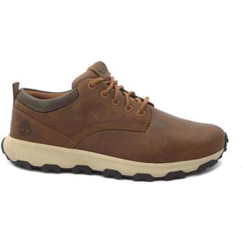 Zapatos Hombre Zapatillas bajas Timberland TIM-I23-A5YD5-RU Marrón