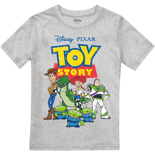 textil Niño Camisetas manga larga Toy Story TV2445 Gris