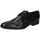 Zapatos Hombre Derbie & Richelieu Stefano Branchini EZ842 Negro