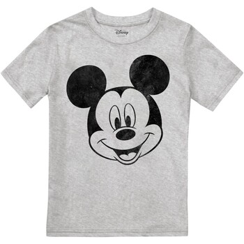 textil Niño Camisetas manga larga Disney  Gris