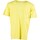 textil Hombre Tops y Camisetas Russell Athletic Iconic S/S  Crewneck  Tee Shirt Amarillo
