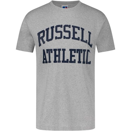 textil Hombre Tops y Camisetas Russell Athletic Iconic S/S  Crewneck  Tee Shirt Gris