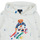 textil Niños Sudaderas Polo Ralph Lauren BEAR PO HOOD-KNIT SHIRTS-SWEATSHIRT Blanco / Multicolor