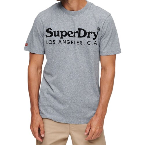 textil Hombre Camisetas manga corta Superdry 223873 Azul