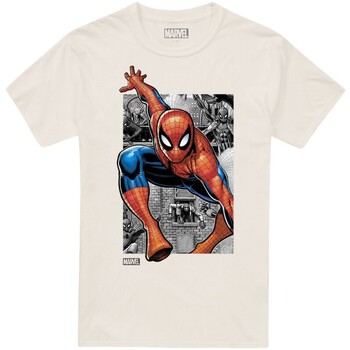 textil Hombre Camisetas manga larga Marvel  Beige