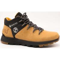 Zapatos Hombre Zapatillas altas Timberland Sprint Trekker GTX Beige