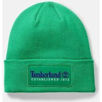 Accesorios textil Sombrero Timberland TB0A2PTD ESTABLISHED 1973-H31 CELTIC GREEN Verde