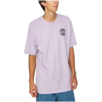 textil Hombre Camisetas manga corta Vans VN0008SFC7S1 Violeta