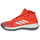 Zapatos Baloncesto adidas Performance Bounce Legends Rojo