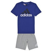 textil Niño Conjuntos chándal Adidas Sportswear LK BL CO T SET Azul / Gris