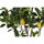 Casa Plantas artificiales Alexandra Meti Meti_JA199308 Multicolor
