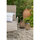 Casa Lámparas de exterior Alexandra Meti Meti_LA206007 Multicolor