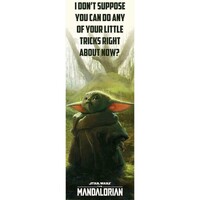 Casa Afiches / posters Star Wars: The Mandalorian PM2558 Multicolor