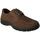 Zapatos Hombre Derbie & Richelieu Comfort A-7825-2 Marrón