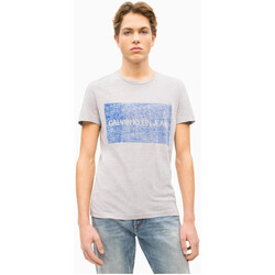 textil Hombre Tops y Camisetas Calvin Klein Jeans -LOGO BOX J30J312163 Gris