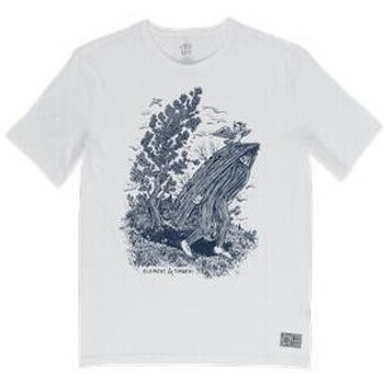 textil Hombre Tops y Camisetas Element -FIND WATER Q1SSI1 ELF9 Blanco