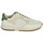 Zapatos Hombre Zapatillas bajas Clae JOSHUA APPLE Crudo / Verde