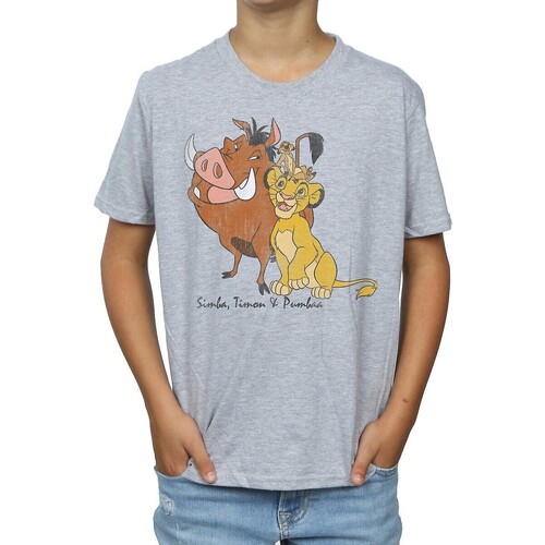 textil Niño Camisetas manga corta The Lion King Classic Gris