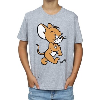 textil Niño Camisetas manga corta Dessins Animés Angry Mouse Gris