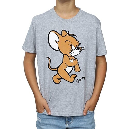 textil Niño Tops y Camisetas Dessins Animés Angry Mouse Gris