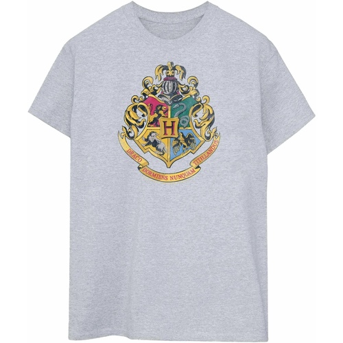 textil Hombre Camisetas manga larga Harry Potter BI1189 Gris