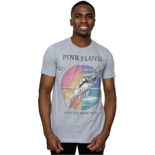 textil Hombre Camisetas manga larga Pink Floyd BI1299 Gris