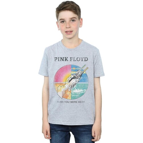 textil Niño Tops y Camisetas Pink Floyd BI1300 Gris