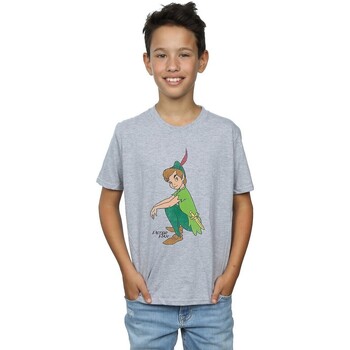 textil Niño Camisetas manga corta Peter Pan Classic Gris