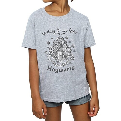 textil Niña Camisetas manga larga Harry Potter Waiting For My Letter Gris