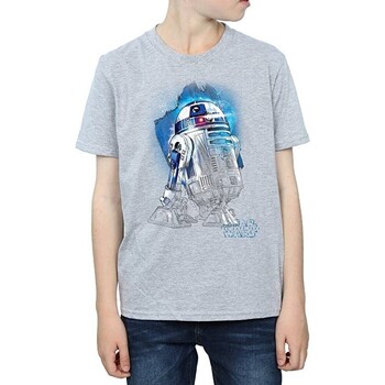textil Niño Camisetas manga corta Star Wars: The Last Jedi  Gris